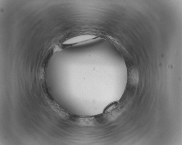 X0000087630571200705241218