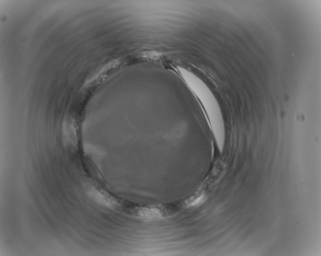 X0000087630572200705241218