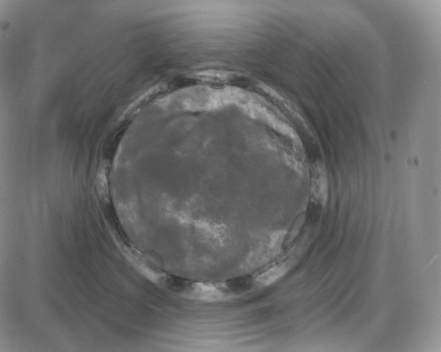 X0000087630573200705241218