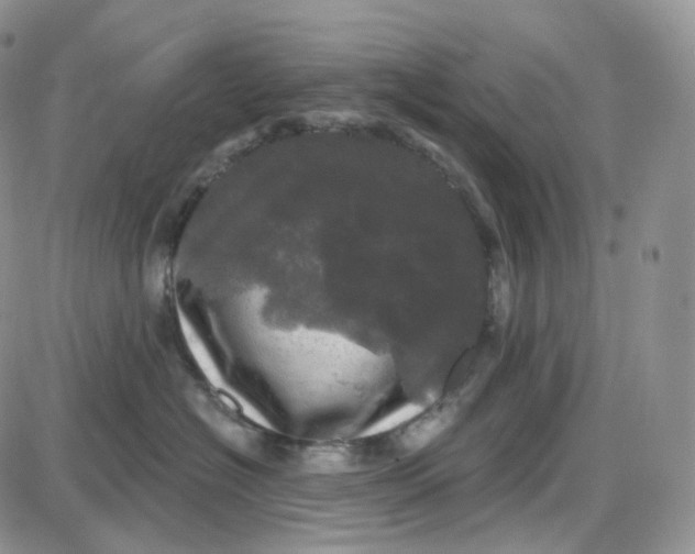 X0000087630574200705241218