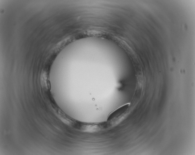 X0000087630575200705241218