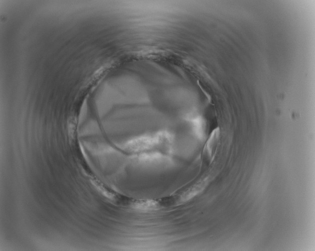 X0000087630576200705241218