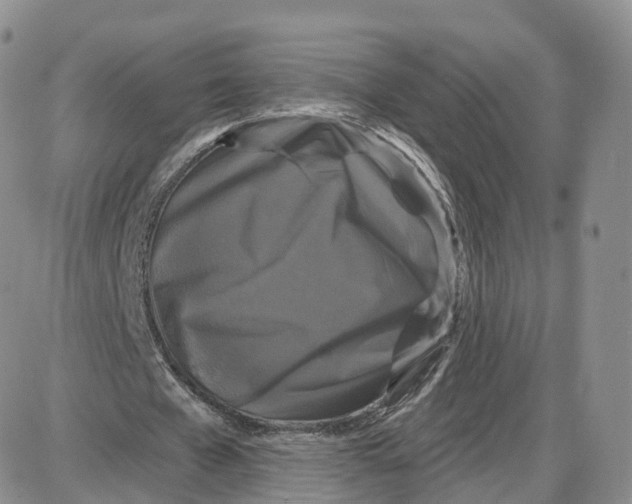 X0000087630577200705241217