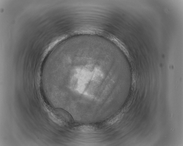 X0000087630578200705241217