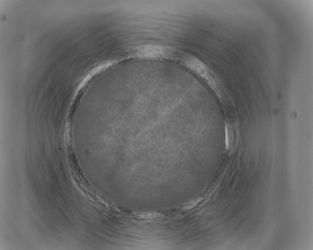 X0000087630579200705241217