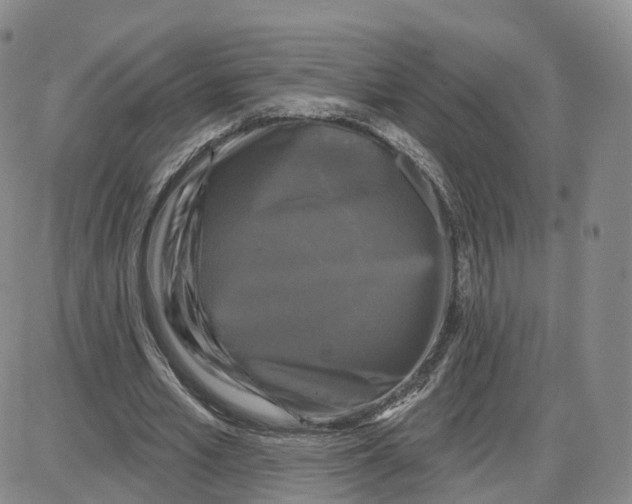 X0000087630581200705241217