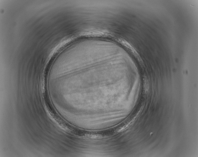 X0000087630582200705241217