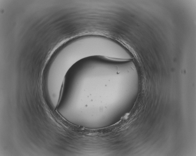 X0000087630584200705241217