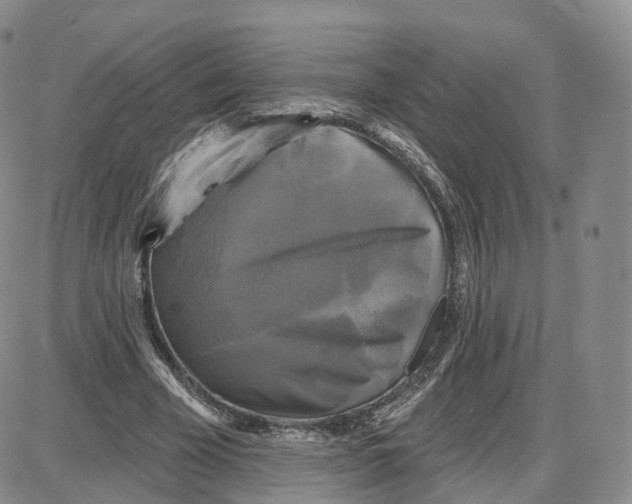 X0000087630585200705241217