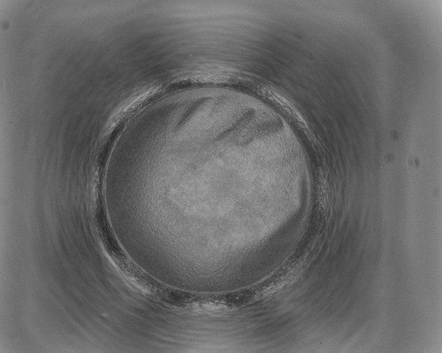 X0000087630586200705241217