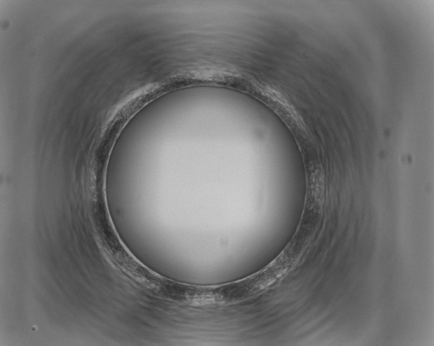 X0000087630587200705241217