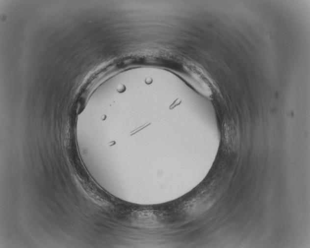 X0000087630588200705241217