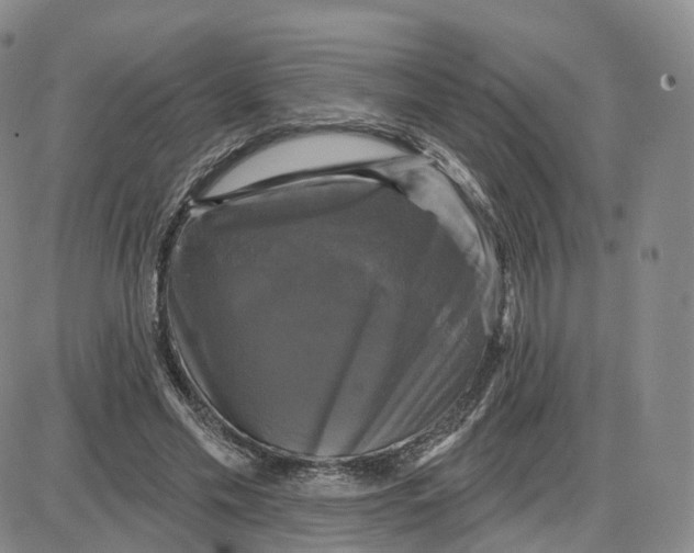 X0000087630589200705241217