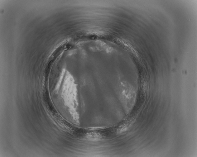 X0000087630591200705241217