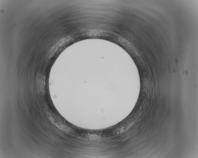 X0000087630592200705241217