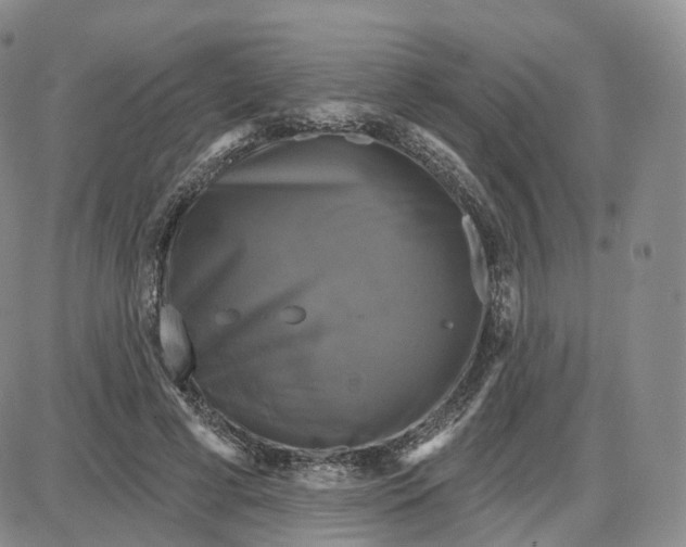 X0000087630593200705241217