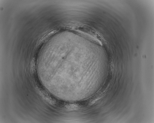 X0000087630594200705241217