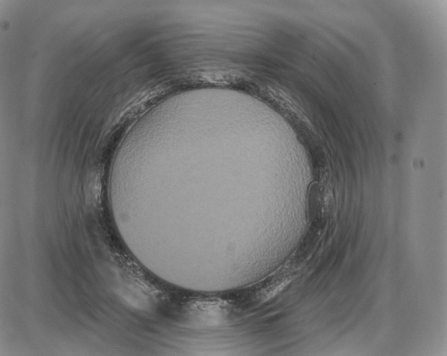 X0000087630595200705241217