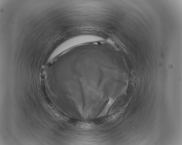 X0000087630597200705241217