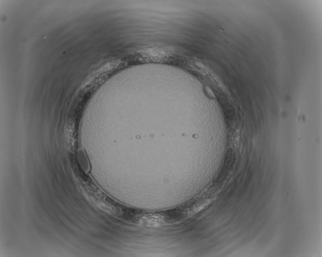 X0000087630599200705241217