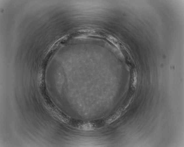 X0000087630600200705241217