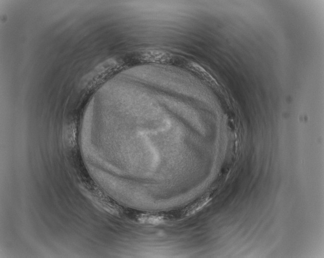 X0000087630602200705241217