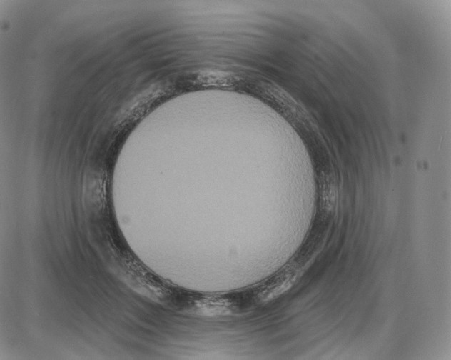 X0000087630603200705241217