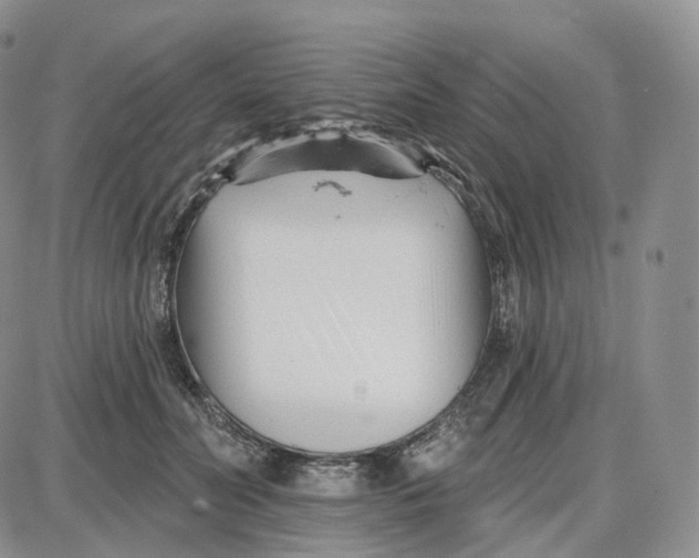 X0000087630606200705241217