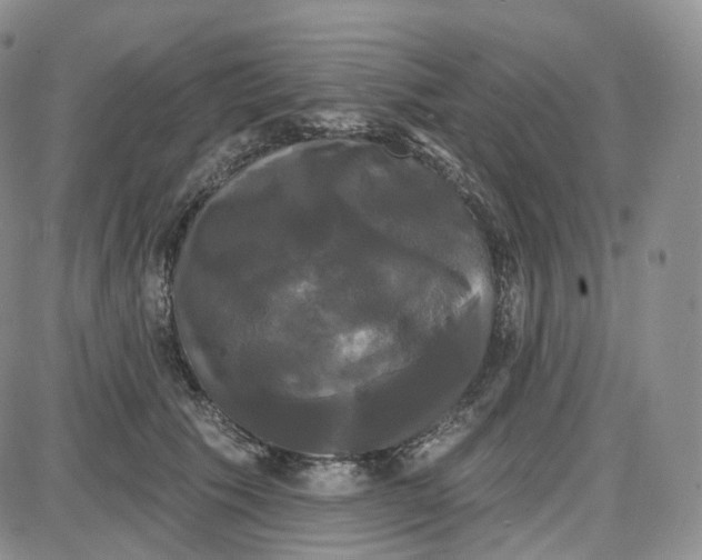 X0000087630609200705241216