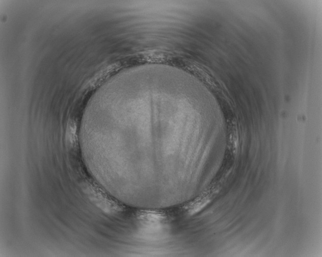 X0000087630610200705241216