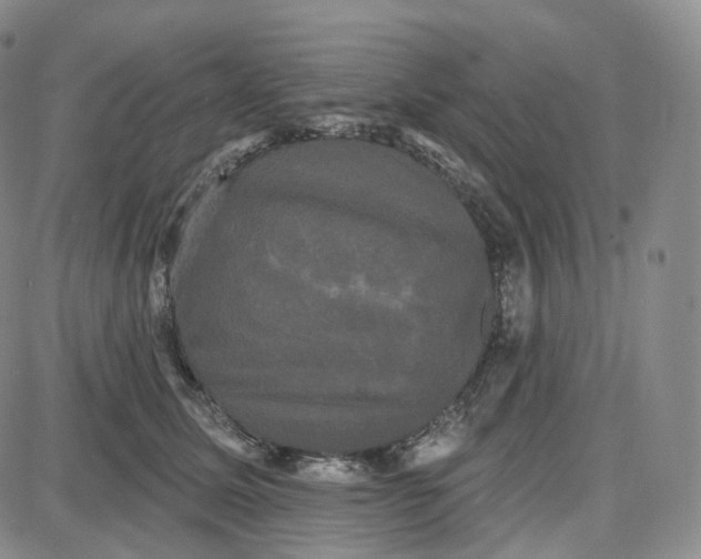 X0000087630611200705241216