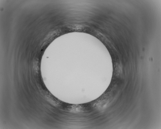 X0000087630612200705241216