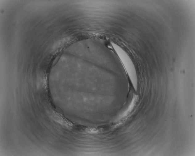 X0000087630613200705241216