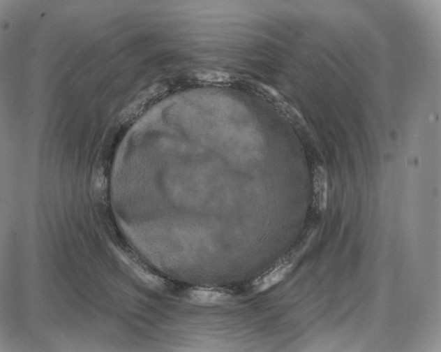 X0000087630614200705241216