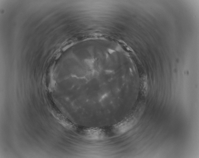 X0000087630615200705241216