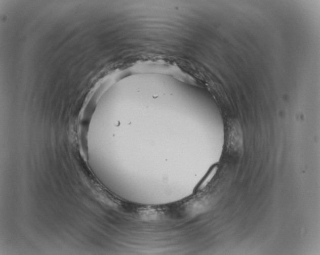 X0000087630616200705241216