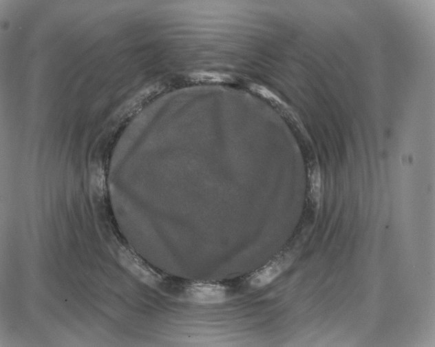 X0000087630617200705241216