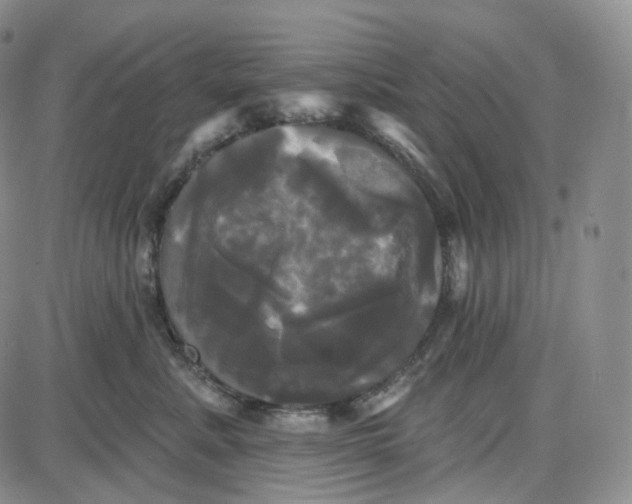 X0000087630619200705241216