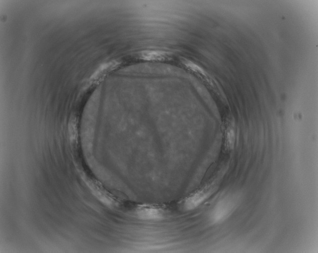 X0000087630620200705241216