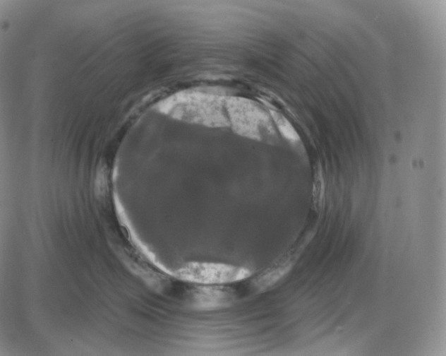 X0000087630623200705241216