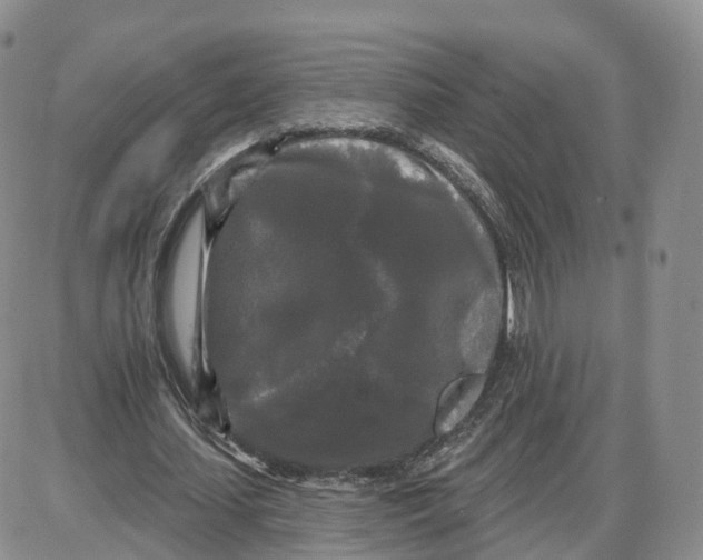 X0000087630627200705241215