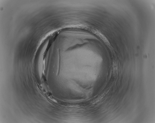 X0000087630628200705241216