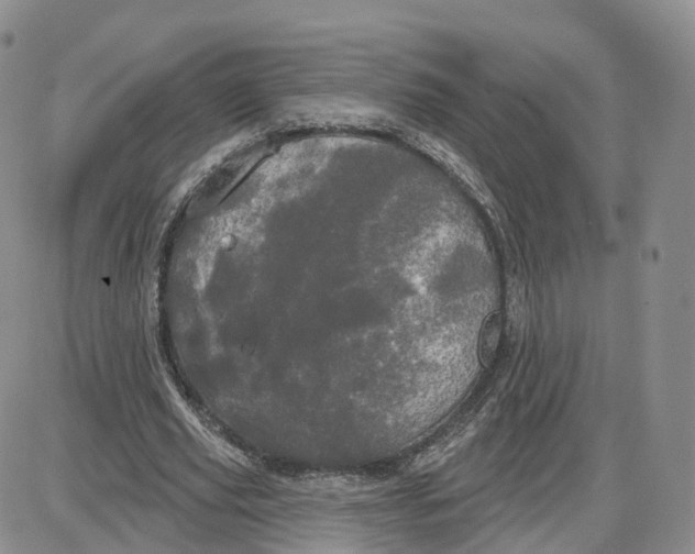 X0000087630629200705241216