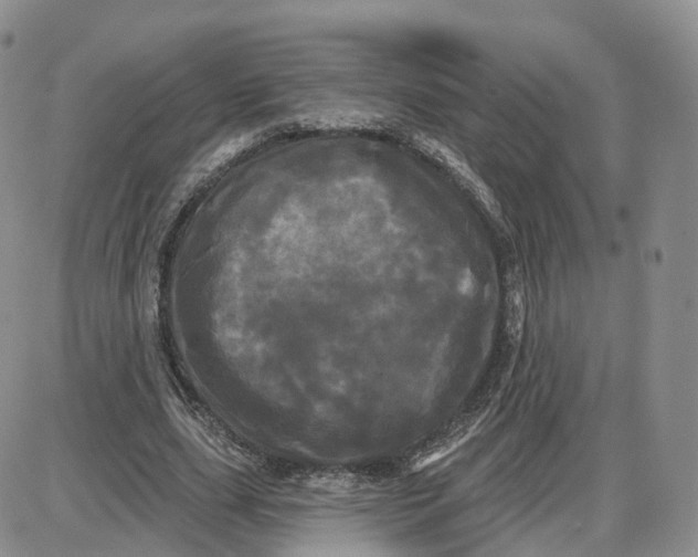 X0000087630631200705241216