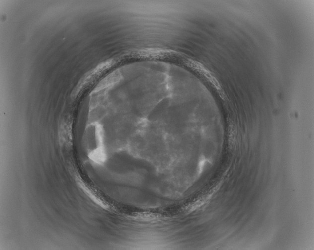 X0000087630633200705241216