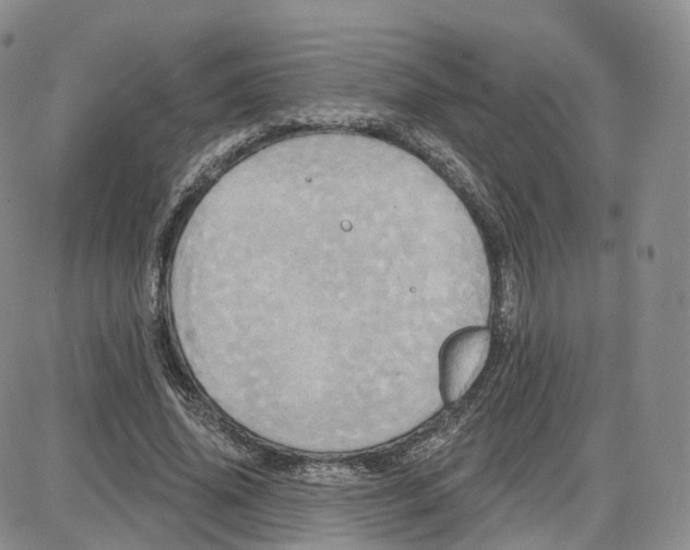 X0000087630636200705241216