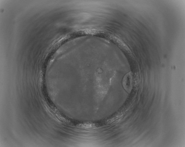 X0000087630639200705241216