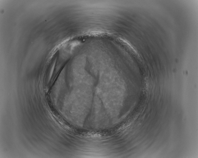 X0000087630640200705241216