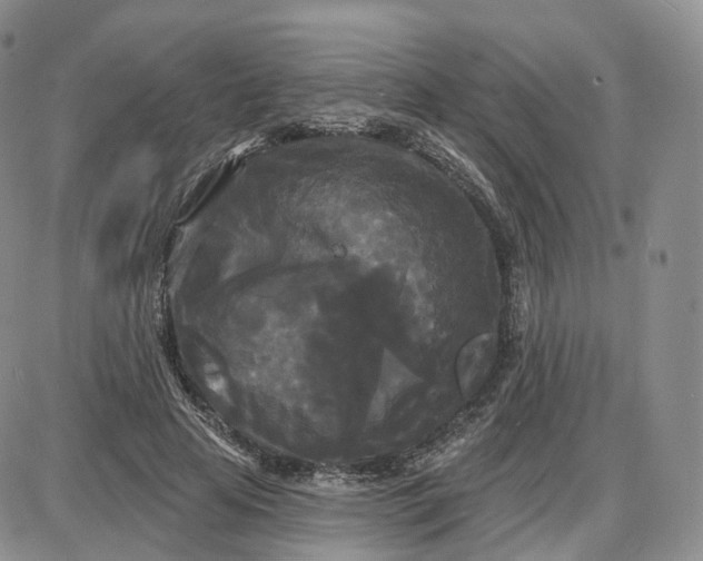 X0000087630641200705241216