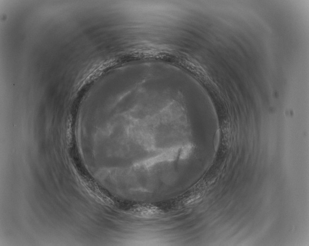 X0000087630642200705241216